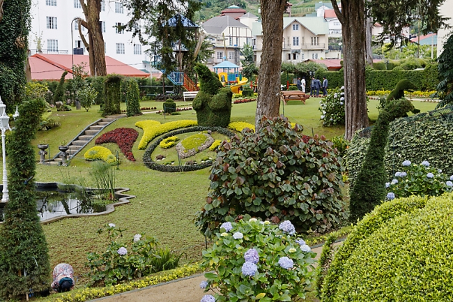 Nuwara Eliya-013
